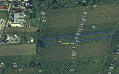 Teren 10.000 mp de vânzare – Zona OMW - Albota - 8 / Euro mp