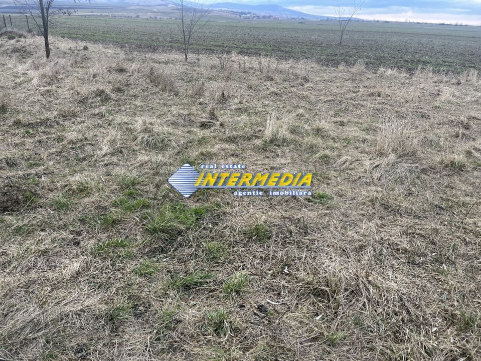 TEREN INTRAVILAN I 800 MP I IGHIU I LATIME 29 ML I IDEAL CASA SAU CABANA I – fotografia 4 din 5