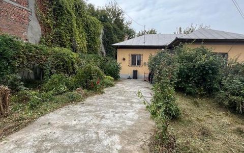 Casa pe parter 3 camere ingrijita curte si gradina Gaesti Nord