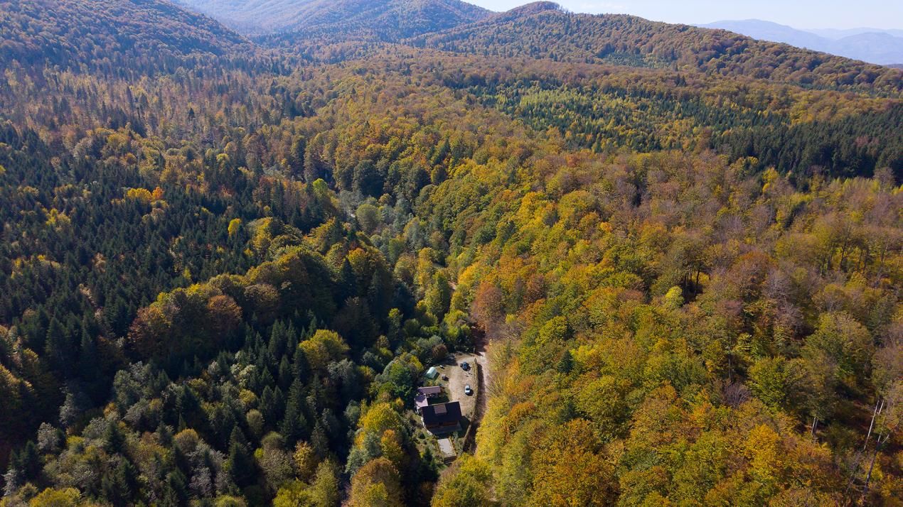 Teren 2.000 mp în Valea Avrigului Pădure, apă curgătoare și liniște – fotografia 8 din 10