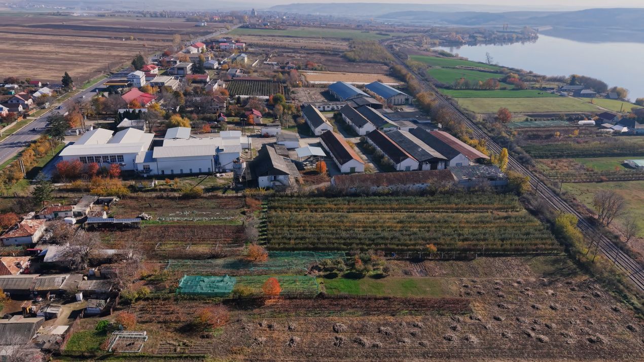 Complex Agroindustrial – Stație Uscare | Condiționare | Depozitare Seminte – fotografia 2 din 31