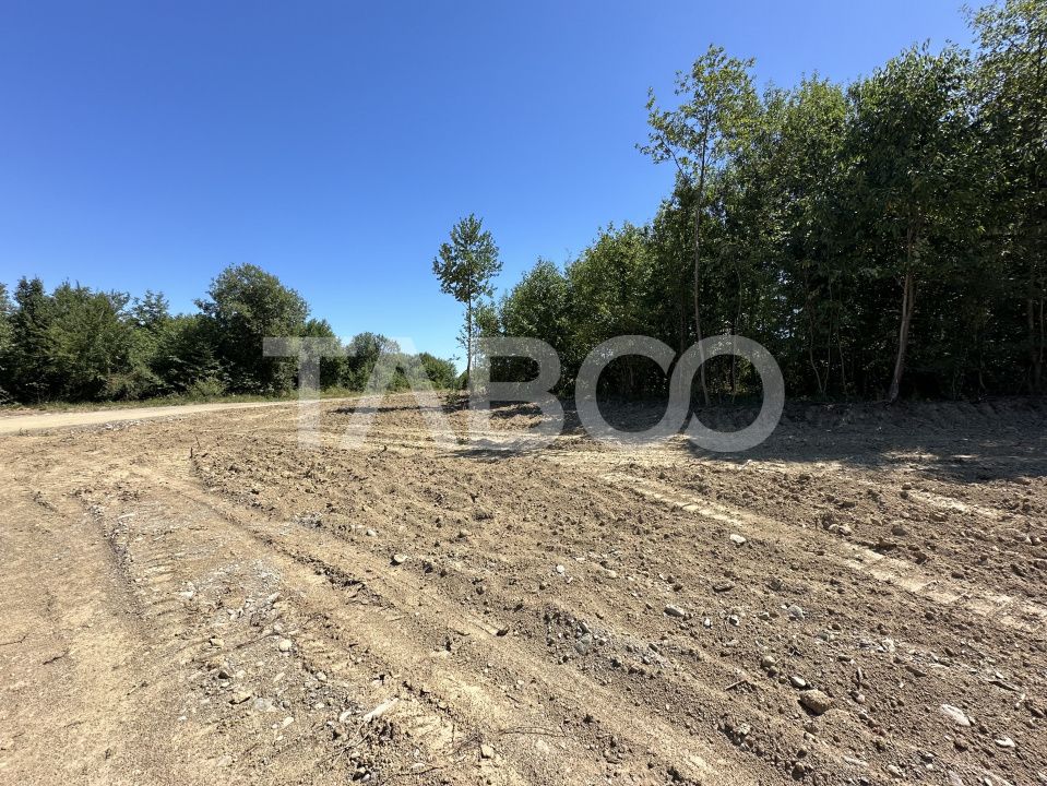 Teren extravilan cu utilitati 1800 mp langa Rau pe Valea Sebesului – fotografia 5 din 6
