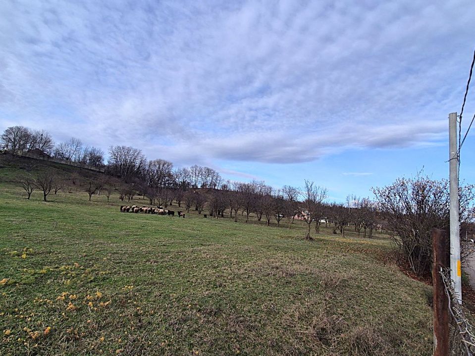 Teren intravilan Vălenii de Munte – 9.123 mp | Deschidere 45 ml | Lângă râu – fotografia 11 din 29