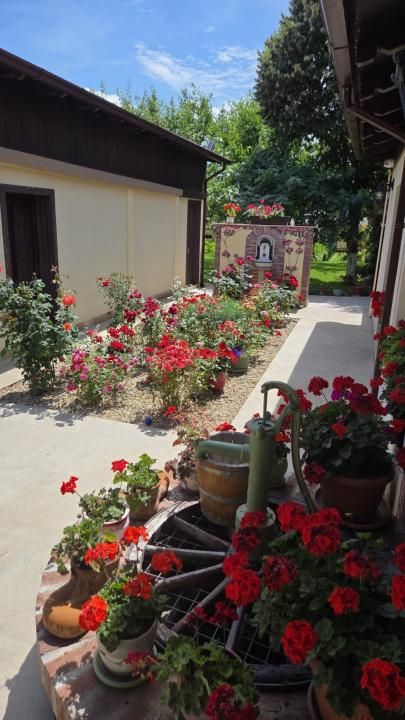 Casa din povesti, 5 camere, pe parter- zona Lipovei Timișoara – fotografia 4 din 24