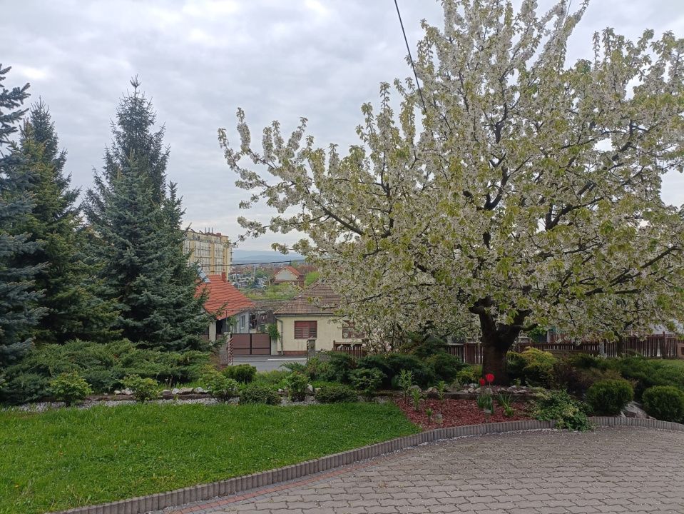 Casă de vânzare Reghin, zonă semicentrală. – fotografia 4 din 23
