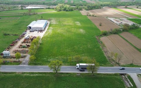 Teren intravilan 6717 mp cu deschidere la E60 de vanzare in Auseu, Bihor