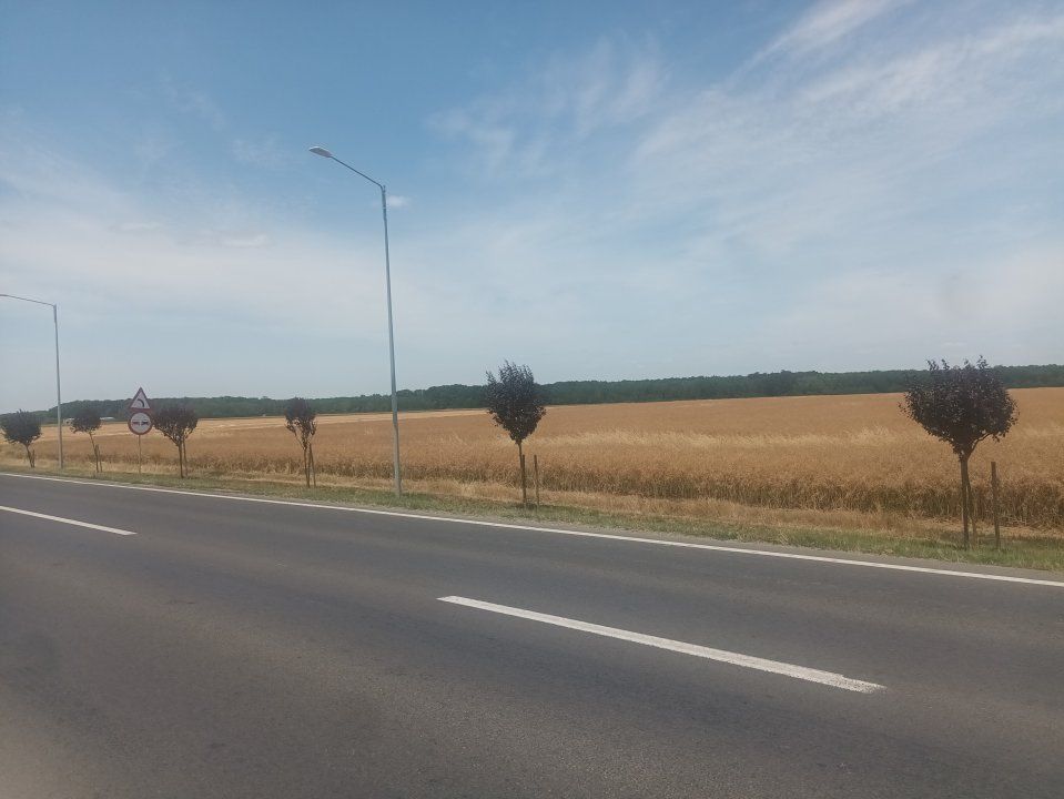Teren Vanzare Intravilan Branesti investitie Zona Industriala Makita – fotografia 24 din 35