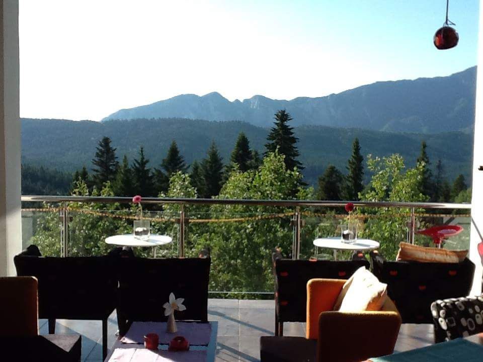 Vilă cu Panoramă 180° asupra Bucegilor | Reședință Exclusivistă Predeal – fotografia 15 din 27