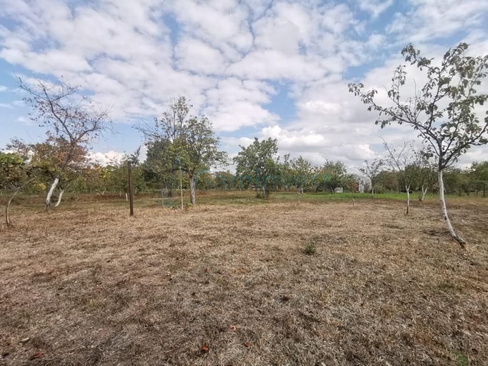 Casă de vânzare cu 3 camere în Tileagd, județul Bihor – fotografia 12 din 12