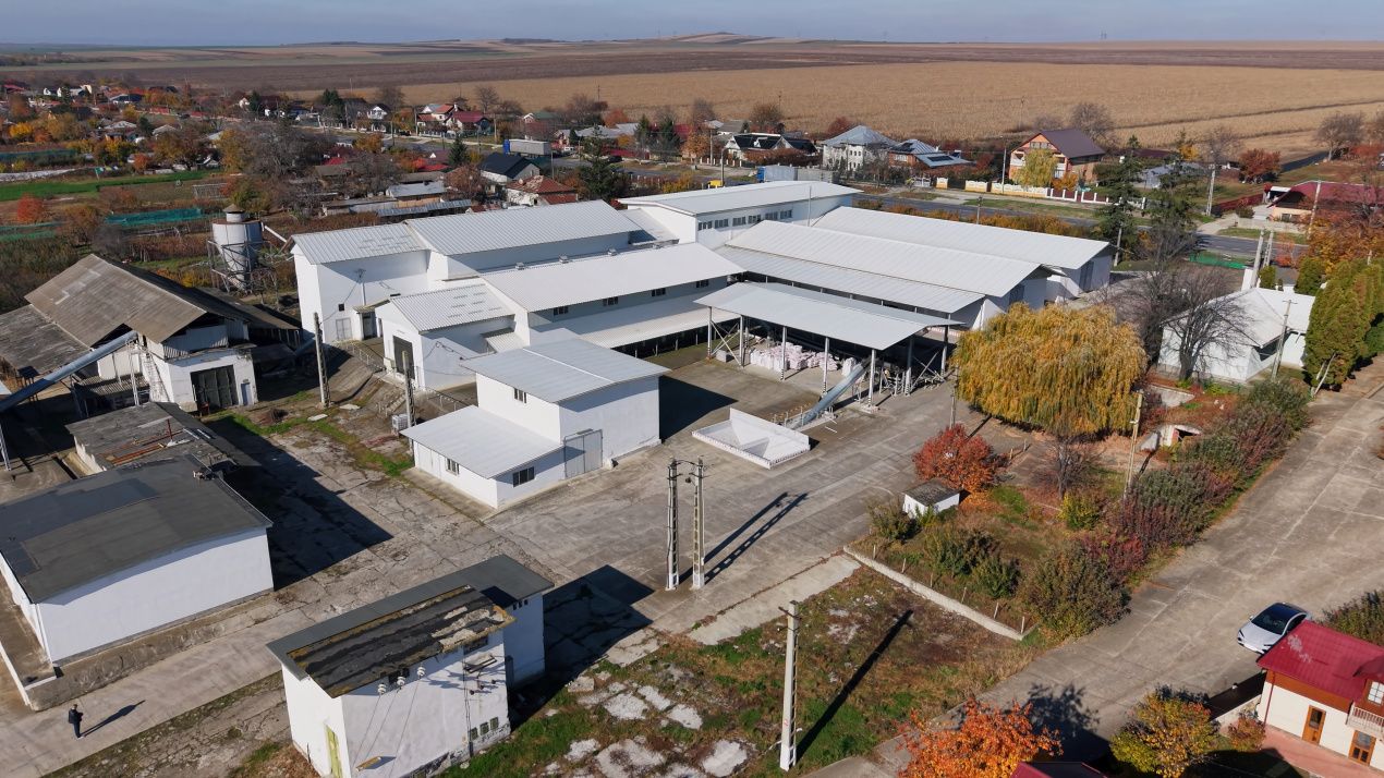 Complex Agroindustrial – Stație Uscare | Condiționare | Depozitare Seminte – fotografia 7 din 31