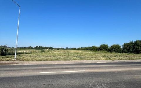 Teren intravilan premium 15.000 mp la DN61 lângă Centura Găești acces rapid A1