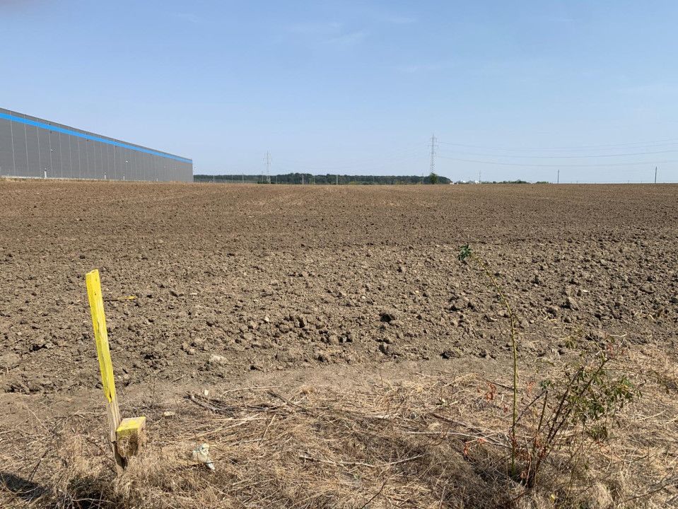 Teren industrial de vanzare 13.999 mp zona Eli Park Buftea – fotografia 5 din 6