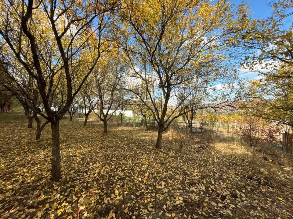 Teren intravilan 1198 mp - Turnu Roşu, Sibiu – fotografia 10 din 12