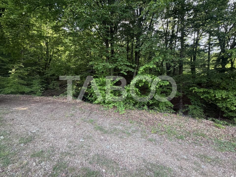 Teren intravilan 1000 mp front stradal 40 m langa Partia de Ski Dragus – fotografia 4 din 4