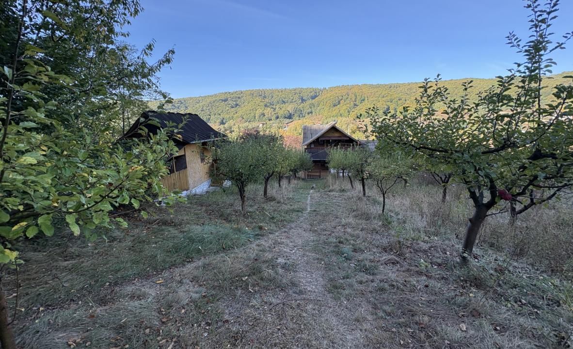 Micesti 12 km de Pitesti/ 2 cabane/ 2.500 mp teren/ priveliste superba – fotografia 3 din 15