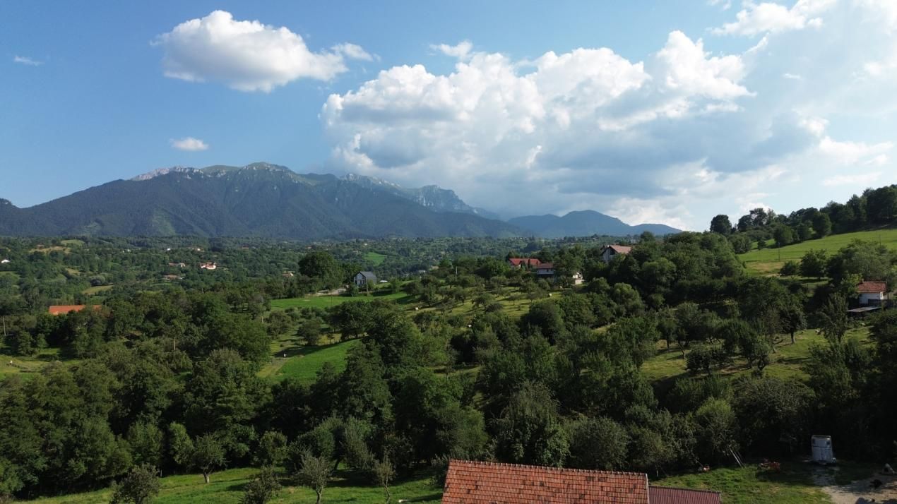 Teren Bran Sohodol , o zona de vis, o priveliste unica spre Bucegi! – fotografia 16 din 17