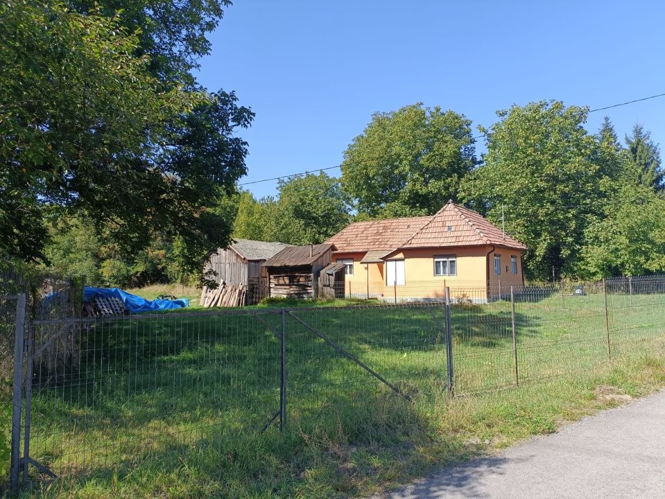 Casă de vânzare Bistra Mureșului – fotografia 3 din 6