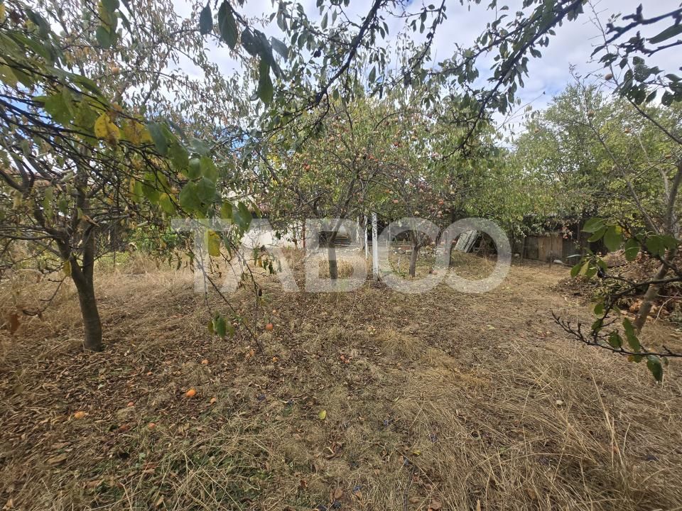 Casa individuala de vanzare pe un nivel teren 623mp Turnisor Sibiu – fotografia 36 din 44