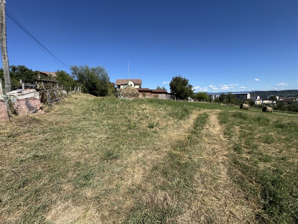 TEREN INTRAVILAN 4.600 MP - ZONA LEONI - OPORTUNITATE DE INVESTIȚIE – fotografia 2 din 5