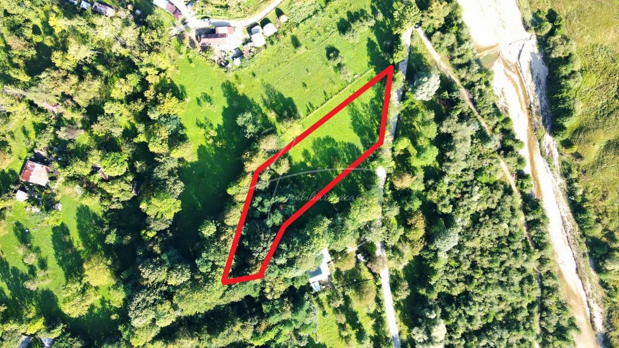 TEREN IN SUPRFATA DE 2870 MP IN PROVITA DE SUS VALEA BRADULUI JUD PRAHOVA – fotografia 7 din 16