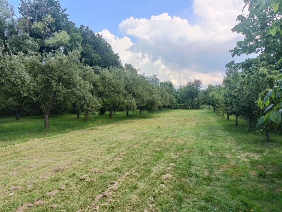 Casă de vânzare comuna Ibănești, jud. Mureș central, cu teren de 4500 mp – fotografia 9 din 26