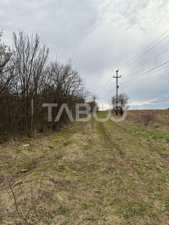 Teren intravilan 791 mp utilitati langa parcela front 13 m Cisnadie – fotografia 4 din 6
