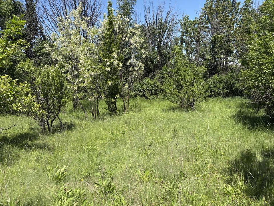 Teren 2.200 mp | 11 km de Pitești | Vanzare integral sau parcelă de 500 mp – fotografia 4 din 7