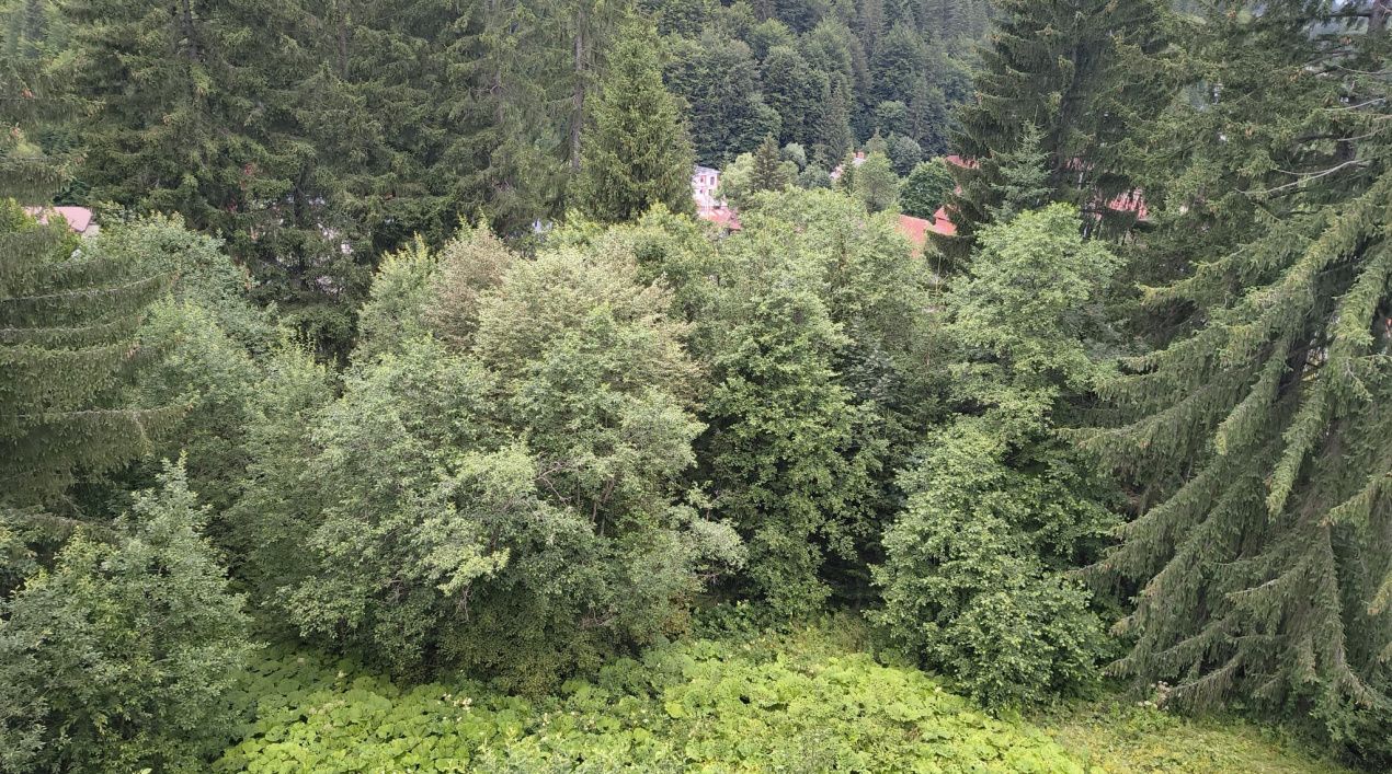 Penthouse cu vedere spectaculoasă către Masivul Bucegi | Predeal – – fotografia 21 din 36