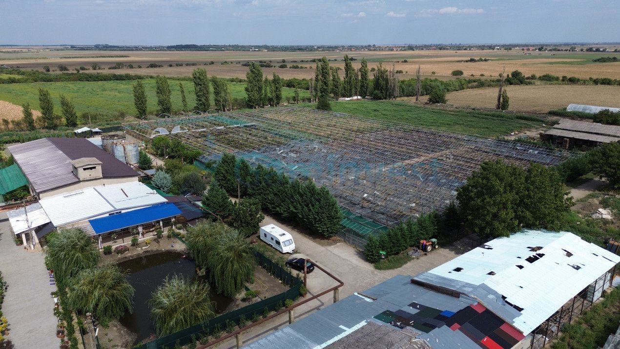 Teren intravilan 8,6 ha cu Sere si afacere horticola in Curtici, județul Arad – fotografia 3 din 5