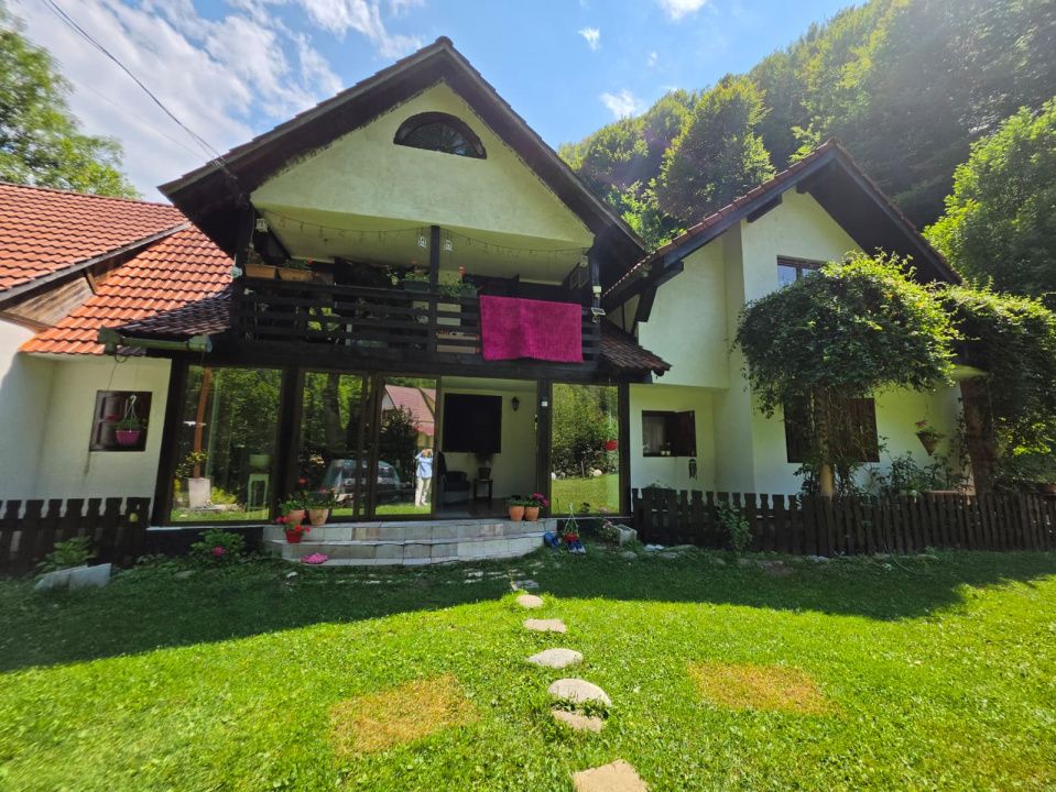 🏡 PROPRIETATE EXTRAORDINARĂ– LOTRIOARA, JUDEȚUL SIBIU! 🌲 – fotografia 69 din 72