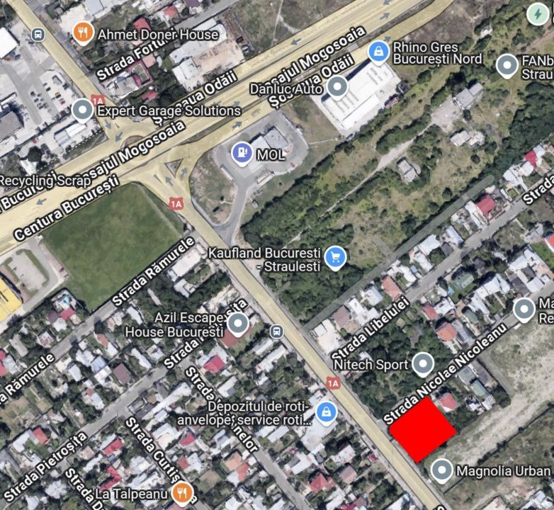 Spatiu Comercial premium-240 mp- Sos. Bucuresti Targoviste/Proiect Nou 2026 – fotografia 3 din 5