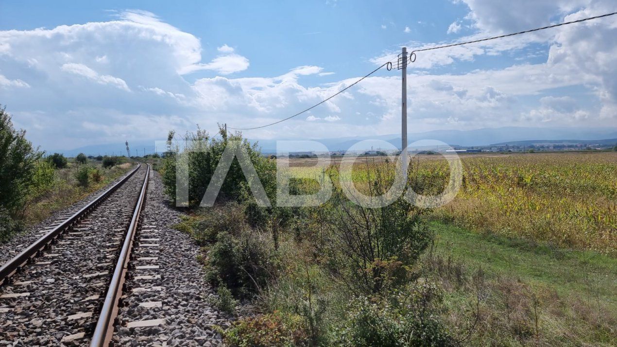Oportunitate investitie Comision 0%  28000 mp in Sura Mica Sibiu – fotografia 7 din 7