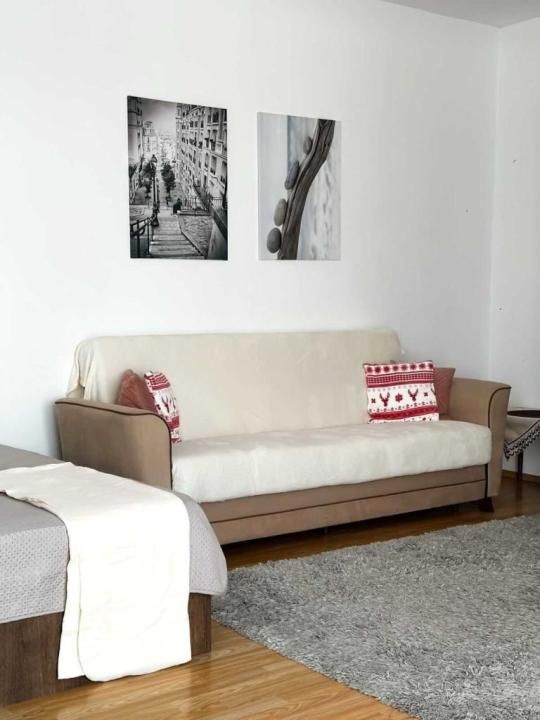 Apartament 1 camera, 43mp + 7mp balcon, zona Prof. Ioan Rus – fotografia 4 din 7
