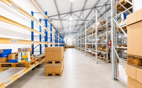 Hala industriala depozitare sos Borsului, Bors