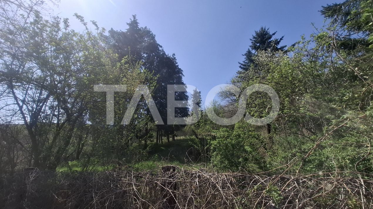 Teren intravilan de vanzare 2700 mp Slimnic Oportunitate investitie – fotografia 2 din 3