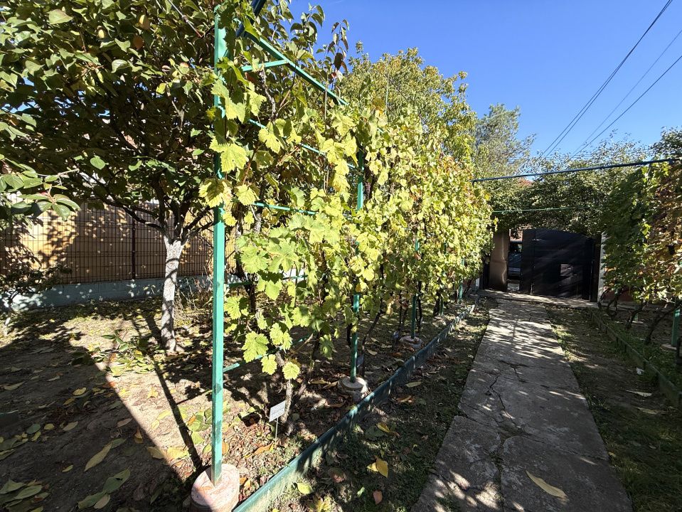 Casa individuala cu 4 camere | 124 mp | 430 mp teren | zona Plopi – fotografia 37 din 39