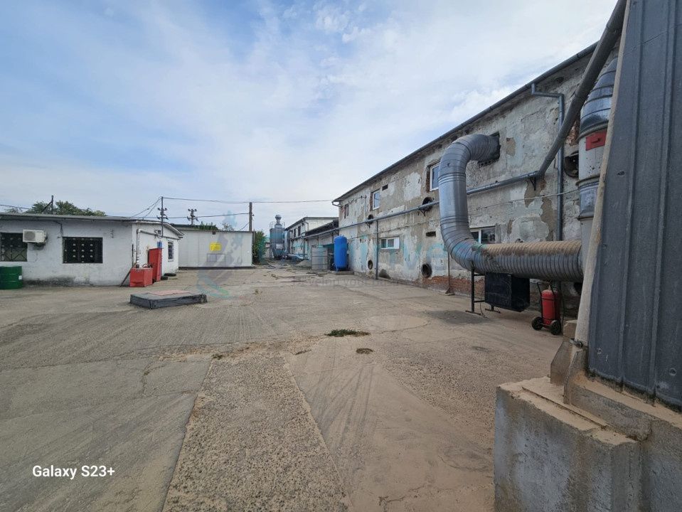 Oportunitate de investiție - Hale Industriale cu Randament ridicat in zona Borș – fotografia 5 din 19
