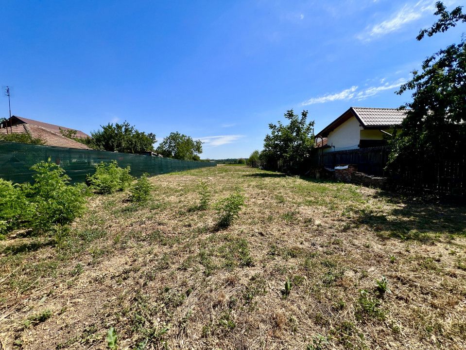 0% | Teren intravilan, 3300 mp, front 15 m | Snagov -Ghermanesti – fotografia 6 din 8