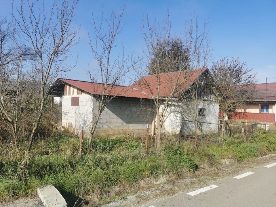 Casa individuala 100mp cu teren 8000mp – fotografia 5 din 21