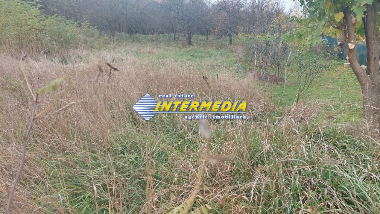 Teren Intravilan de vanzare 1000 mp Oarda – fotografia 2 din 2