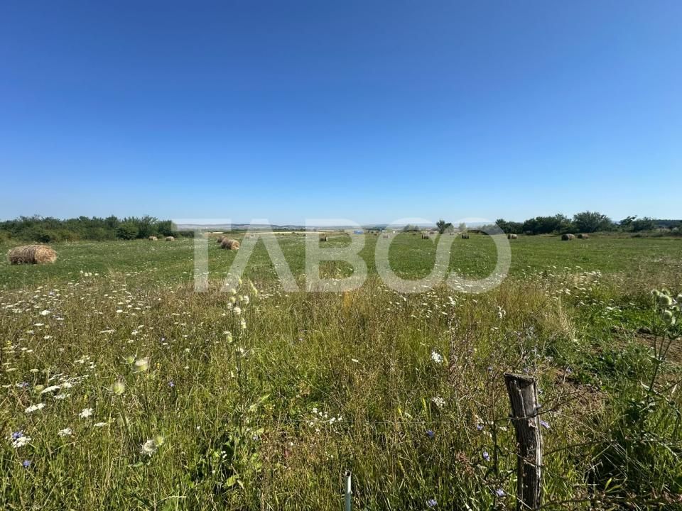 Teren intravilan cu utilitati in apropiere  Comision 0% Poplaca Sibiu – fotografia 5 din 6