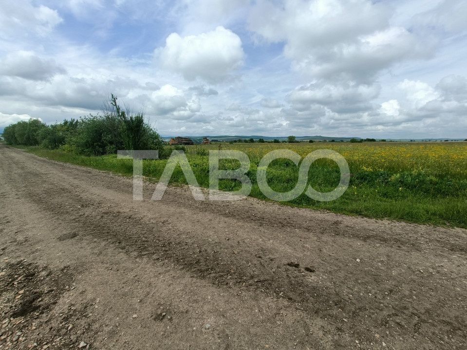 Teren de vanzare in zona Parcului Industrial Sura Mica cu acces camion – fotografia 1 din 4