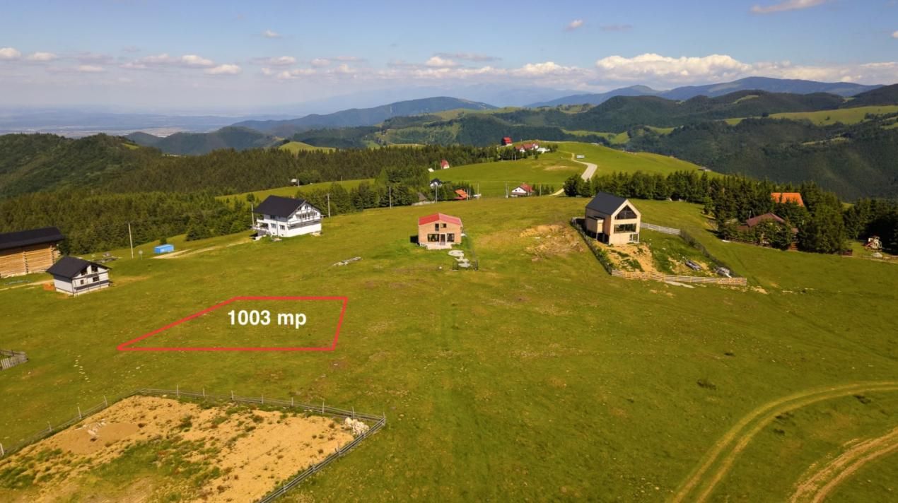 Teren 1003 mp în Păltiniș | Priveliște panoramică către munți – fotografia 1 din 4