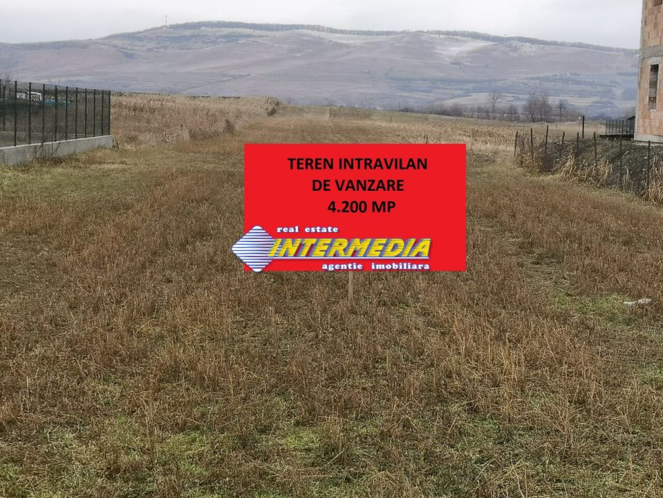 Teren intravilan 4200 mp de vanzare Alba Micesti cu utiliati langa – fotografia 2 din 3