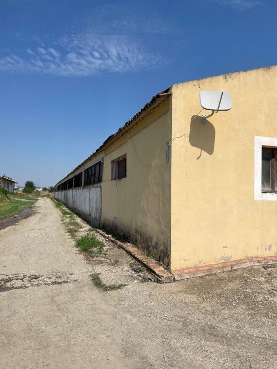Hală industrială de vânzare în Ovidiu – 1.875 mp hală, teren 3.000 mp – fotografia 12 din 31