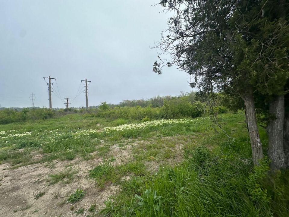Investitie Litoral! Teren intravilan de vanzare | 46.000mp | Neptun – fotografia 20 din 24