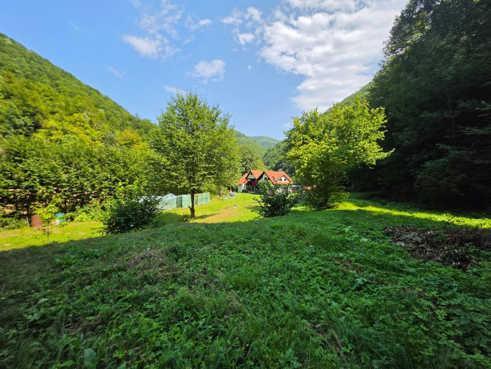 🏡 PROPRIETATE EXTRAORDINARĂ– LOTRIOARA, JUDEȚUL SIBIU! 🌲 – fotografia 11 din 72