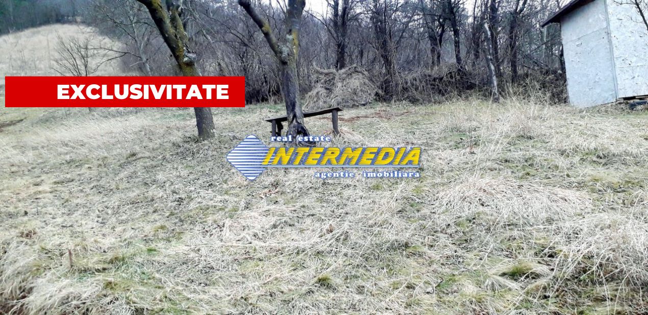 Teren Intravilan in Paclisa 1450 mp cu Puz aprobat – fotografia 1 din 6