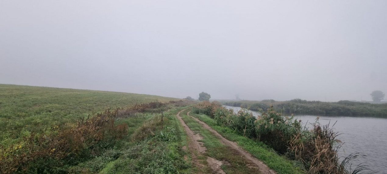 Creata  -  Dascalu teren de vânzare - 7567 mp cu dublu acces lângă lac – fotografia 10 din 11