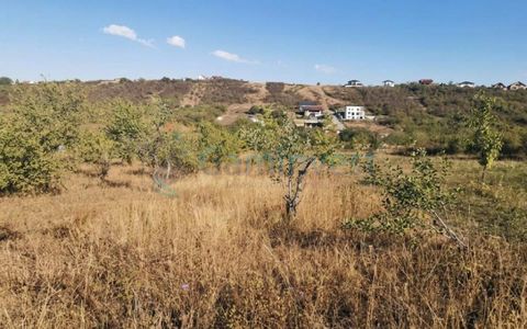 Teren intravilan de vanzare in Oradea, zona Adevarului, Bihor